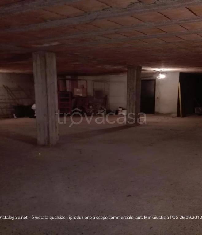 immagine annuncio 12 di 14