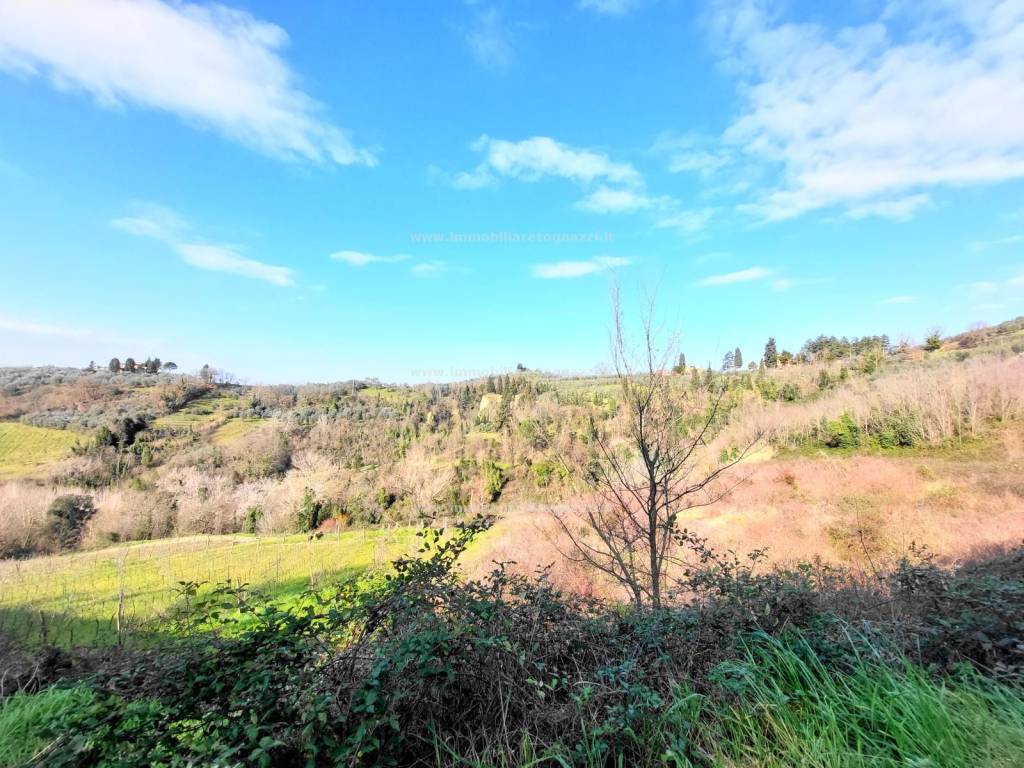 immagine annuncio 3 di 6