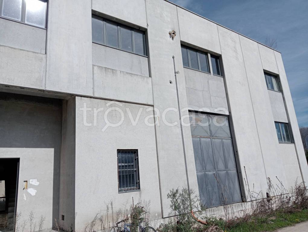 immagine annuncio 10 di 12