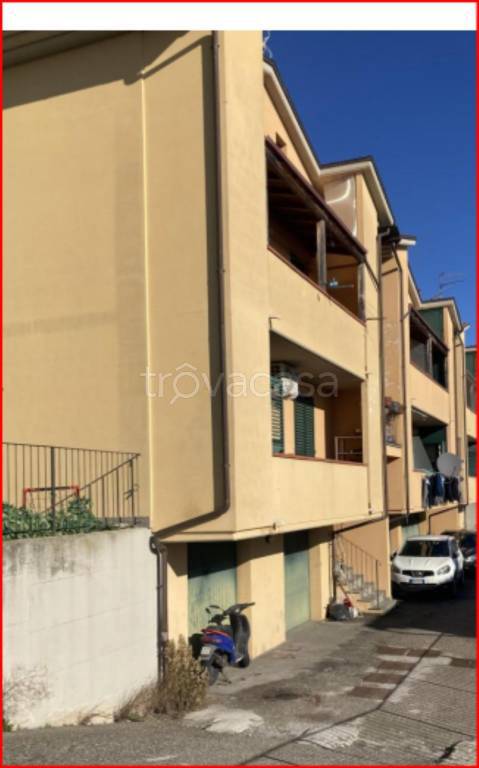 immagine annuncio 3 di 12