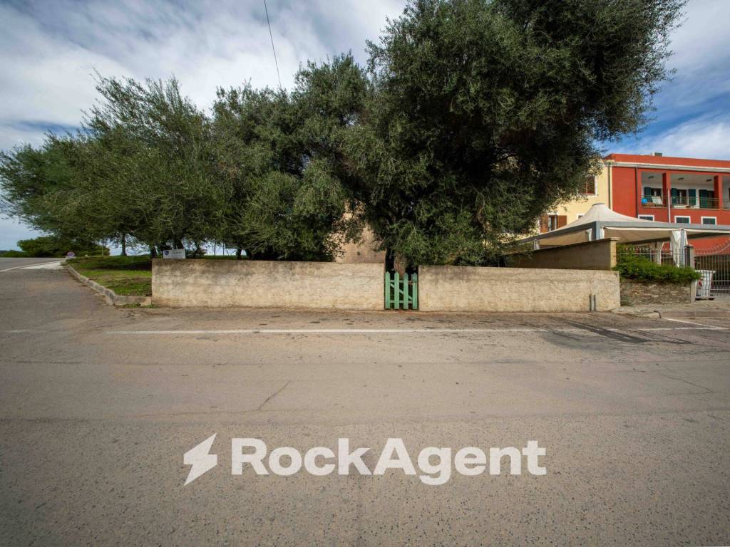 immagine annuncio 10 di 14