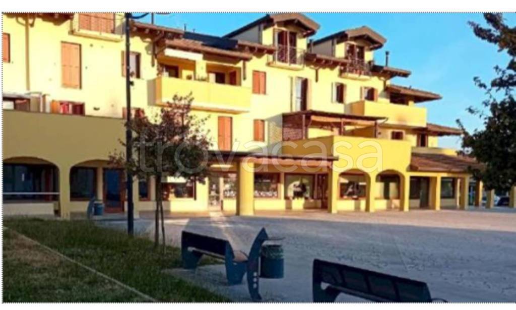 immagine annuncio 3 di 11