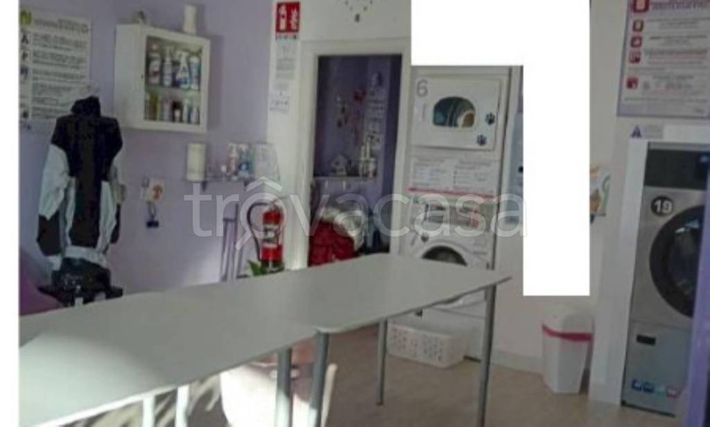 immagine annuncio 5 di 11