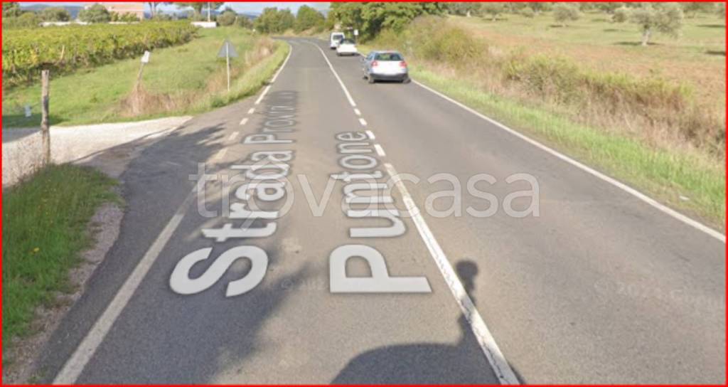 immagine annuncio 5 di 12