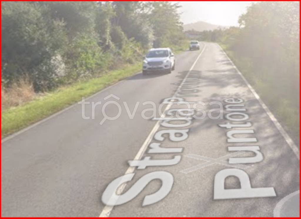 immagine annuncio 7 di 12