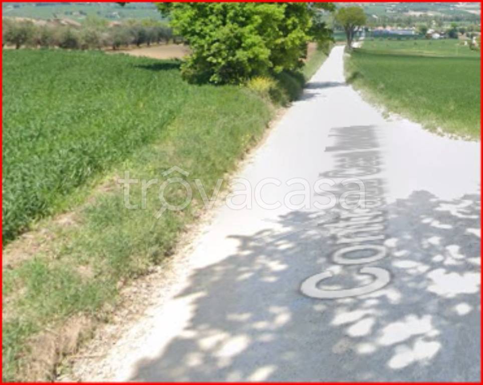 immagine annuncio 8 di 12