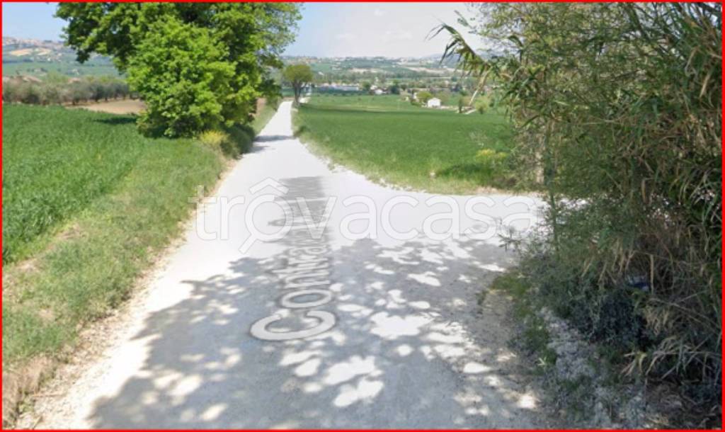 immagine annuncio 9 di 12