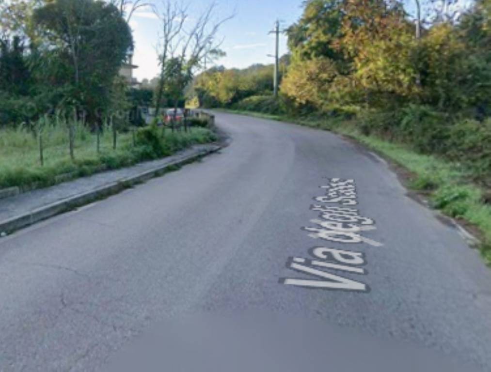 immagine annuncio 2 di 11