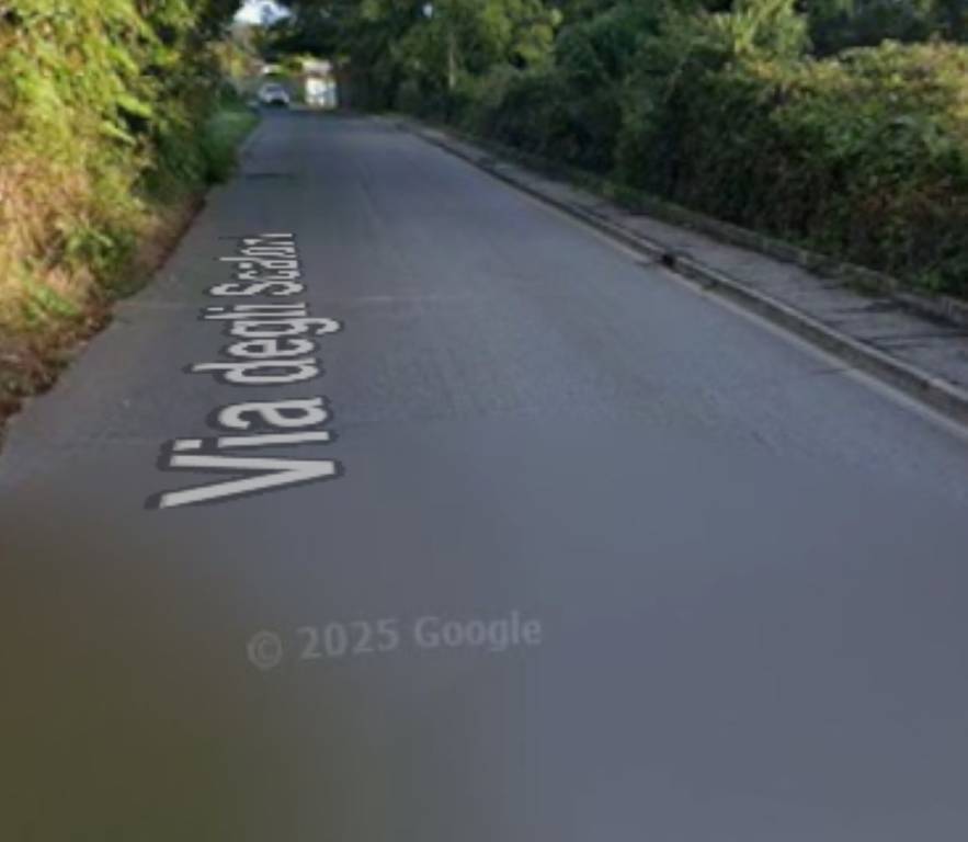 immagine annuncio 7 di 11