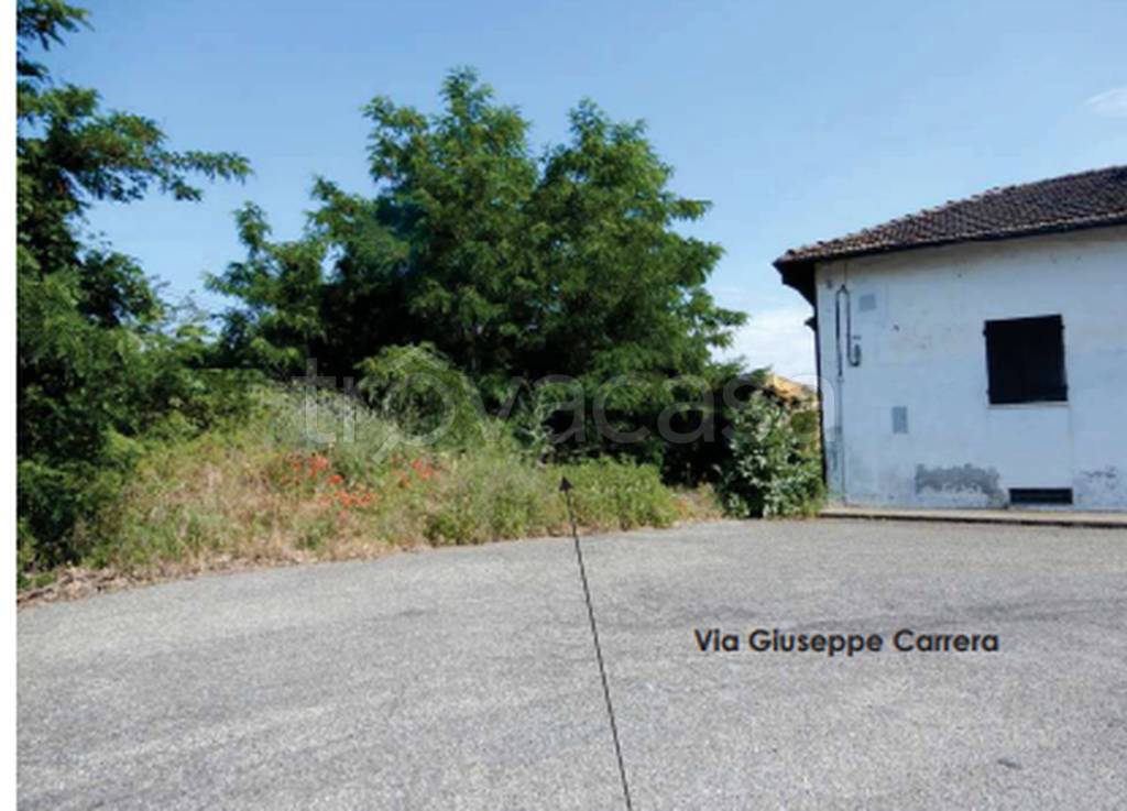 immagine annuncio 3 di 11