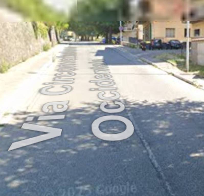 immagine annuncio 3 di 11