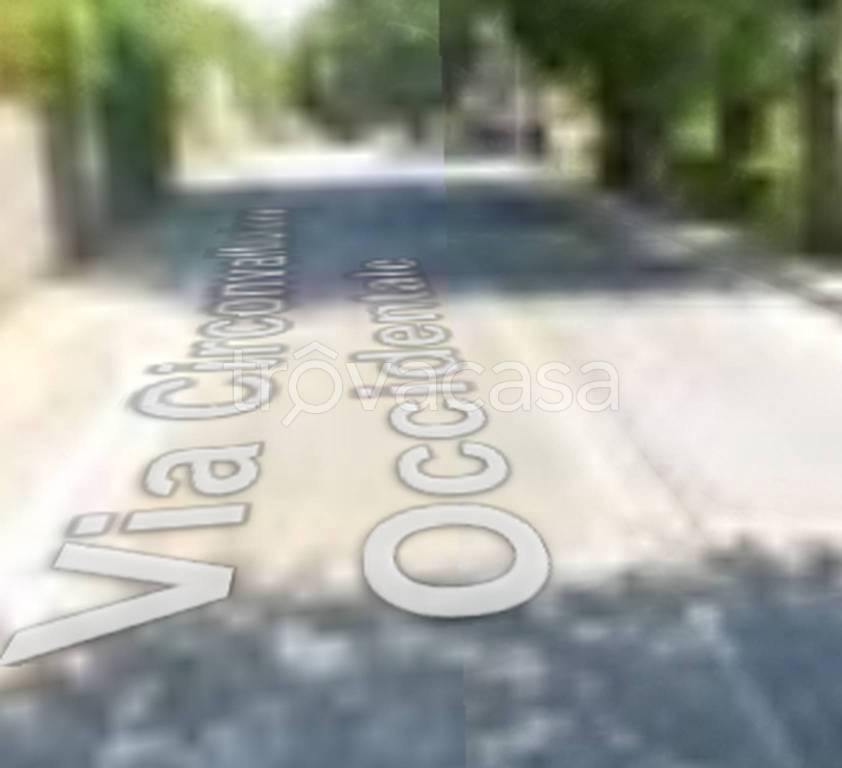 immagine annuncio 5 di 11