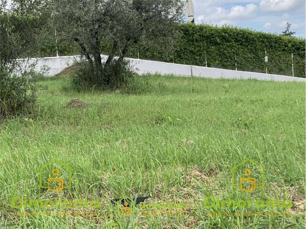 immagine annuncio 4 di 8