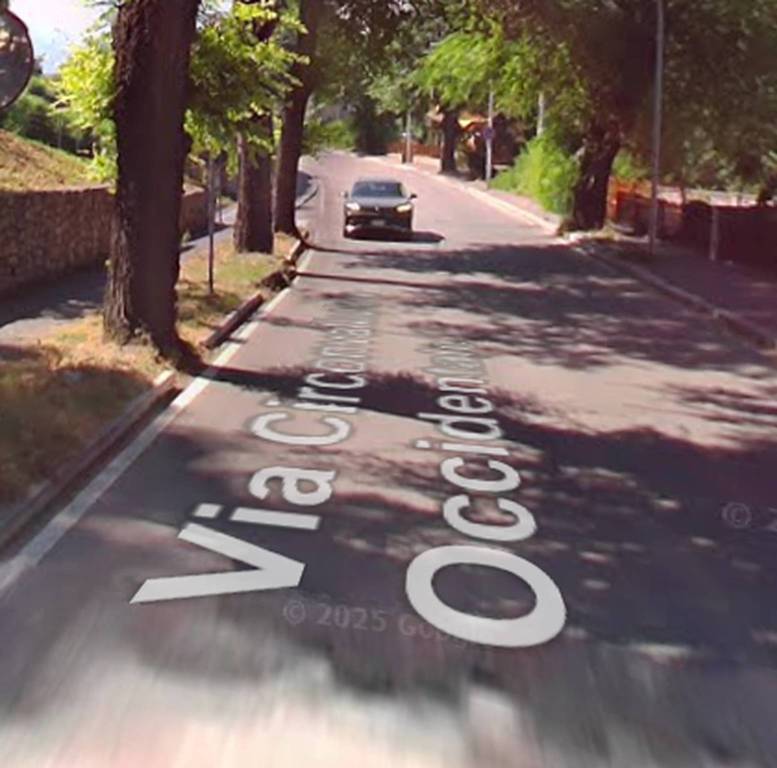 immagine annuncio 3 di 9