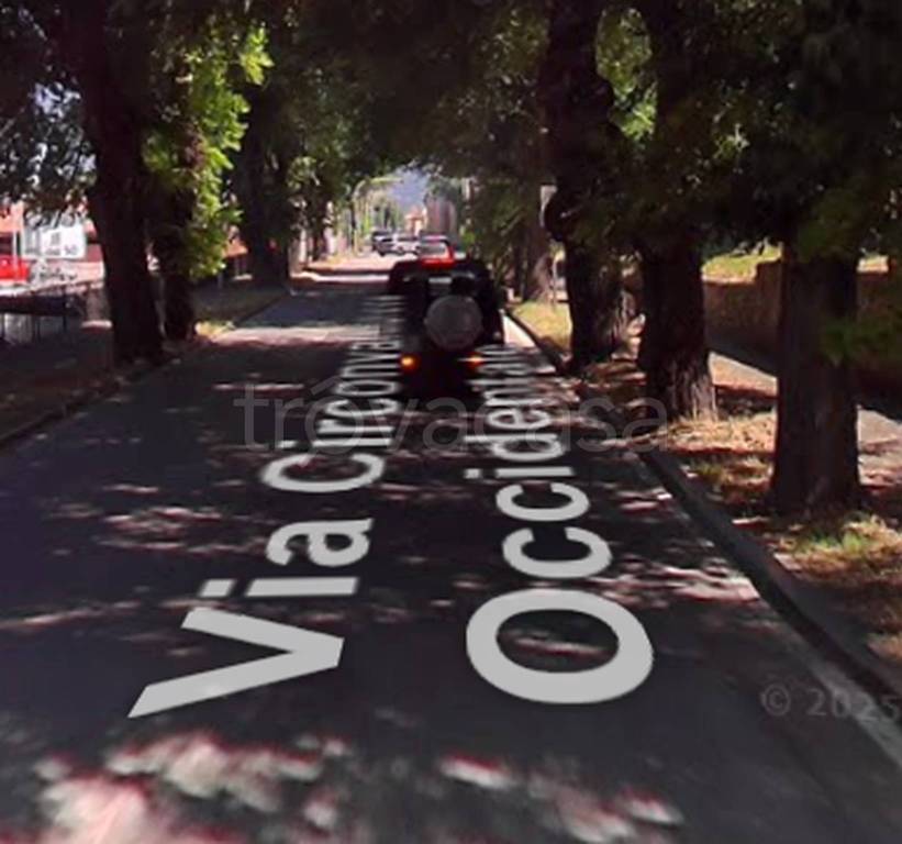 immagine annuncio 5 di 9