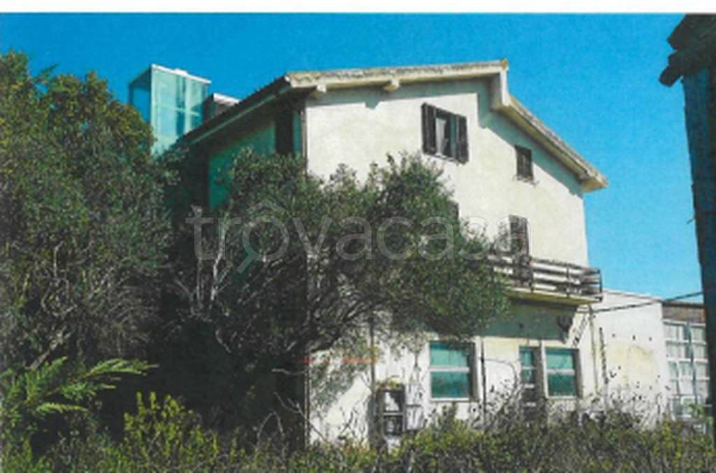 immagine annuncio 5 di 11