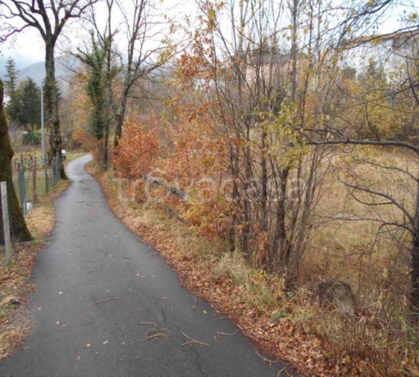 immagine annuncio 4 di 12