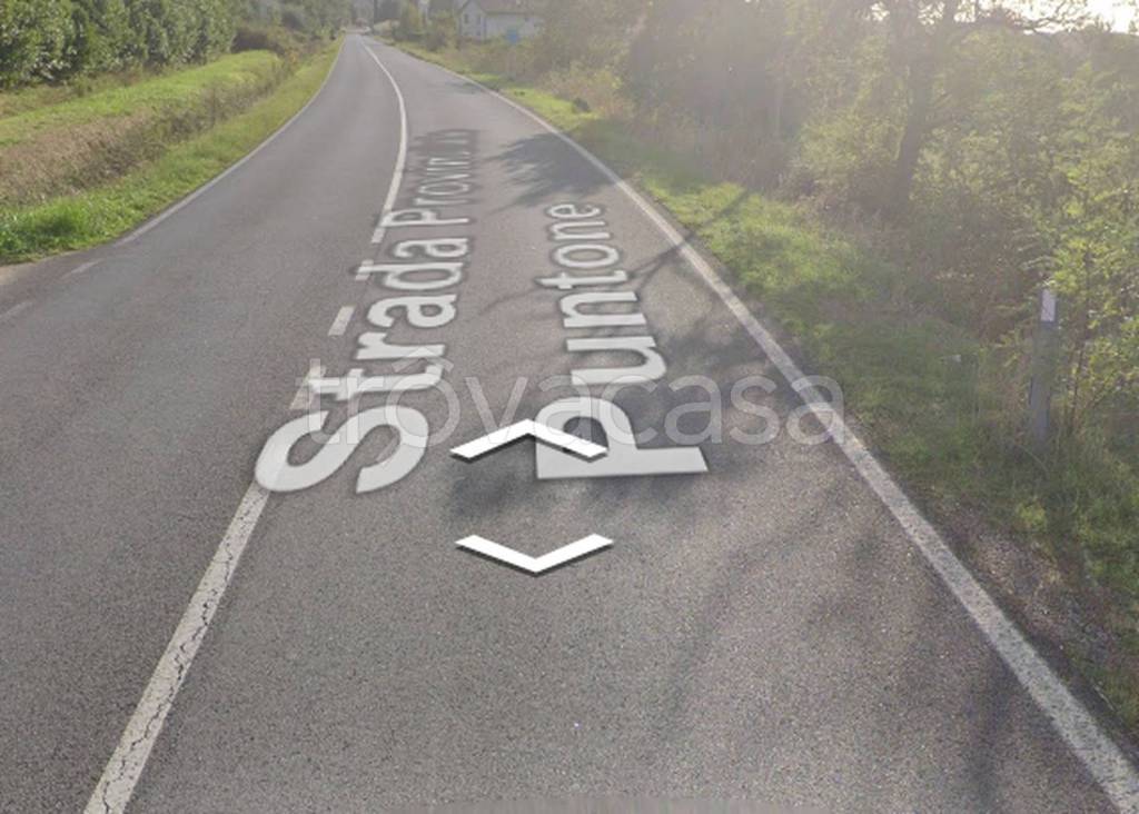 immagine annuncio 10 di 11