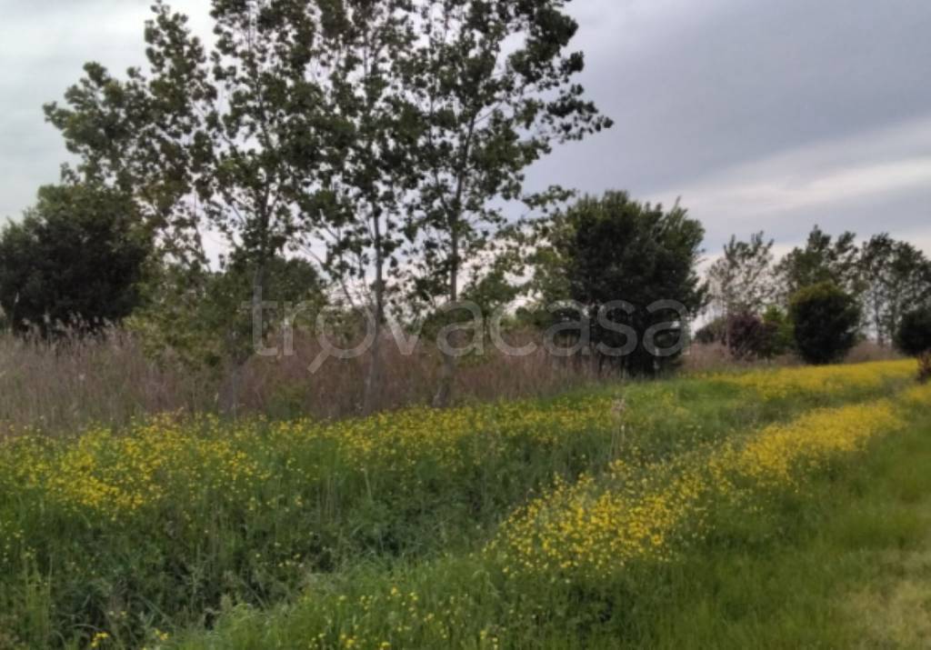 immagine annuncio 6 di 11