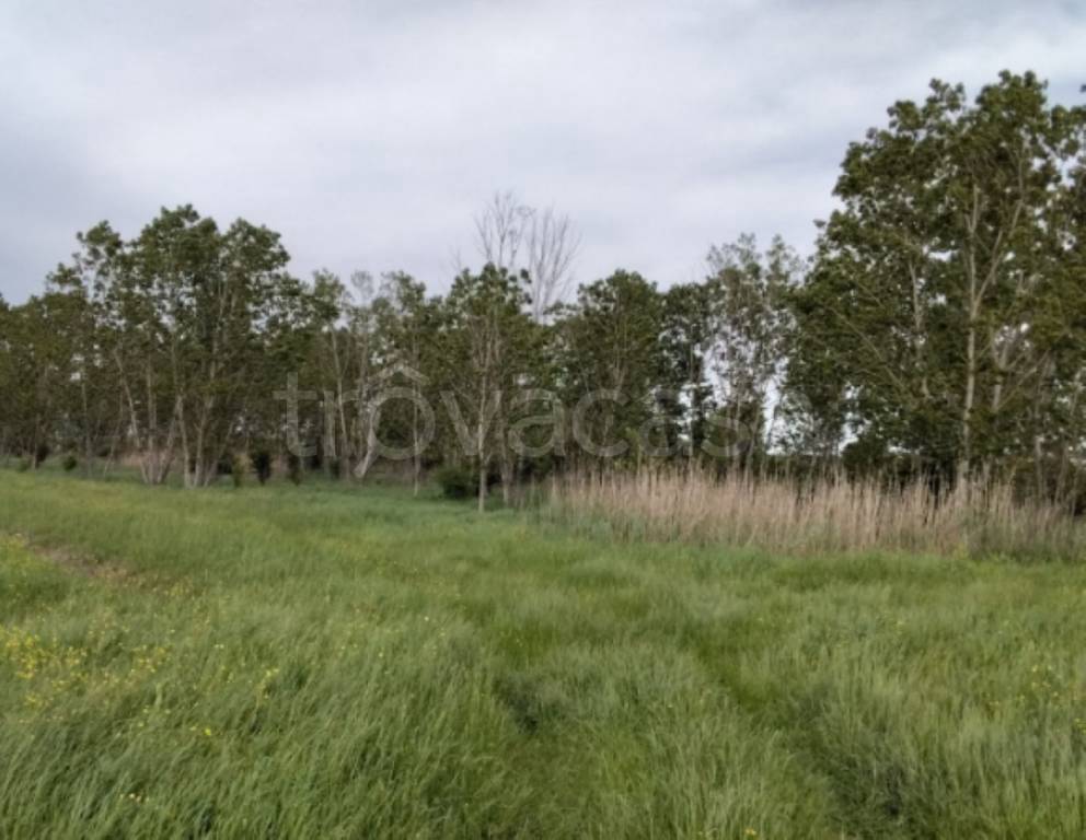 immagine annuncio 8 di 11