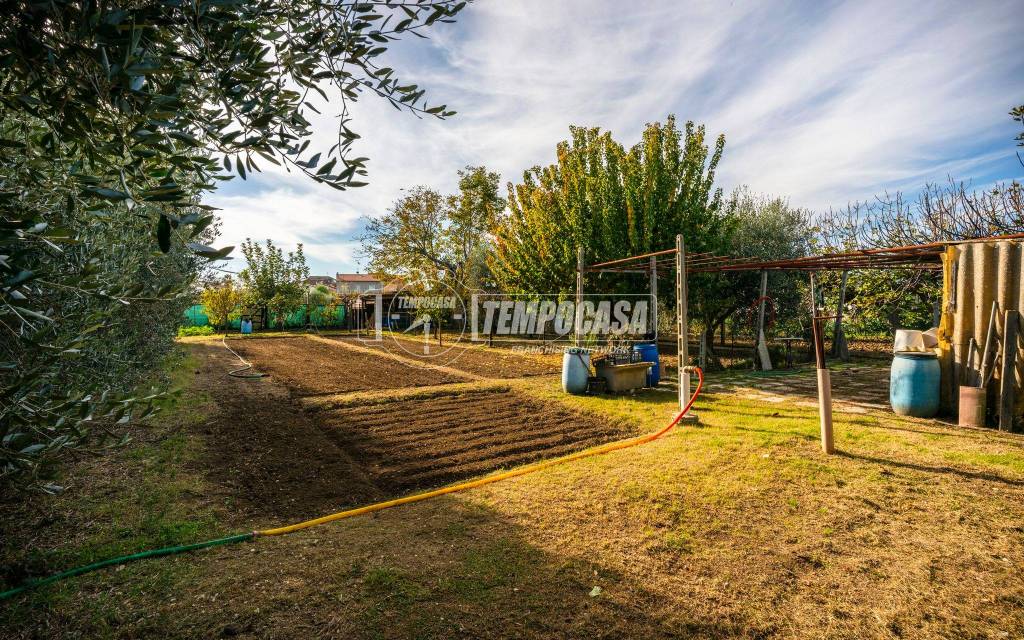 immagine annuncio 1 di 11