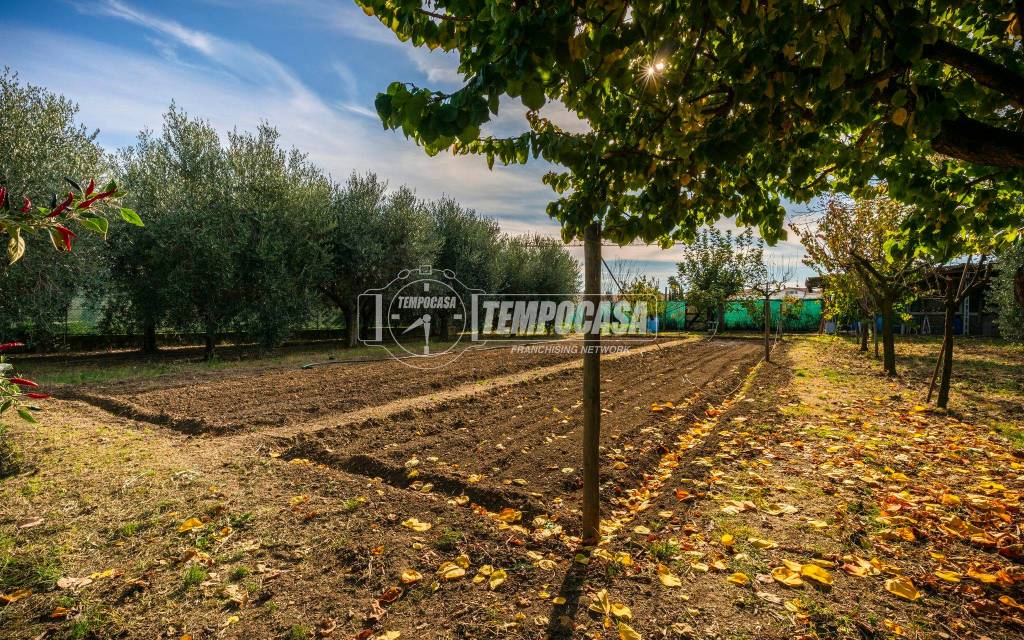 immagine annuncio 2 di 11