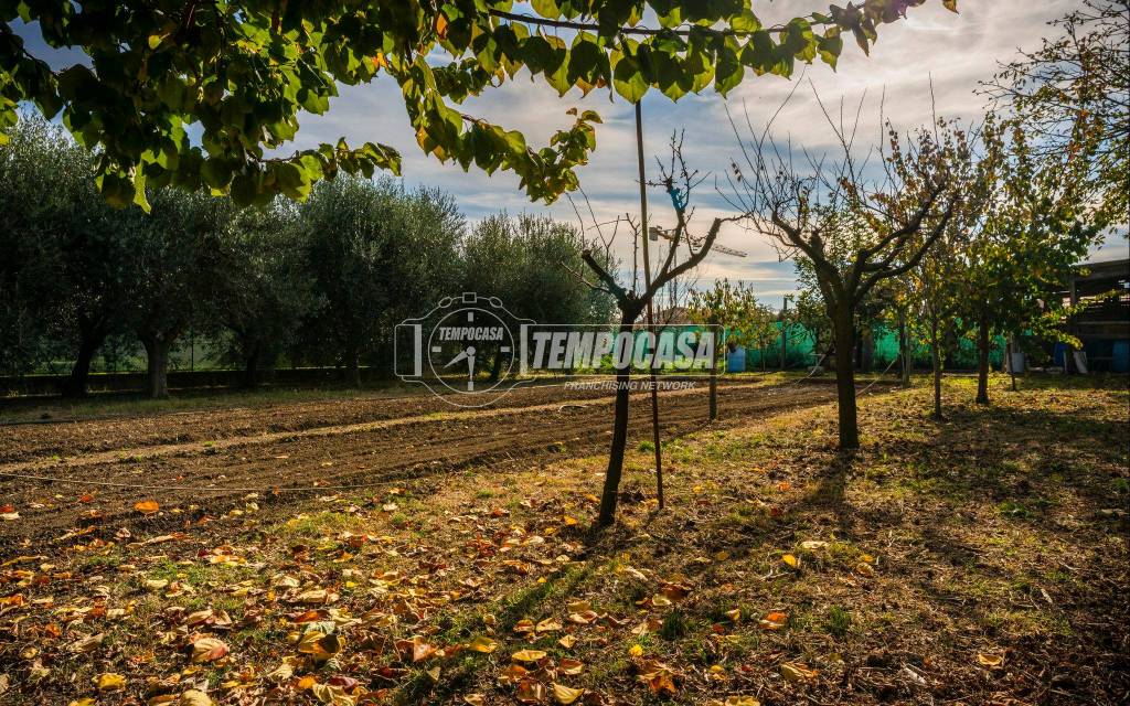 immagine annuncio 4 di 11