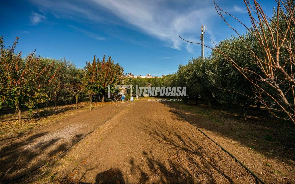 immagine annuncio 5 di 11