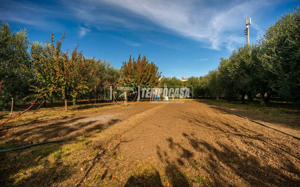 immagine annuncio 6 di 11