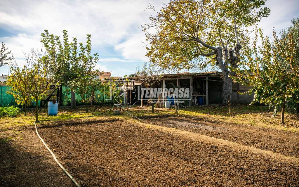 immagine annuncio 7 di 11