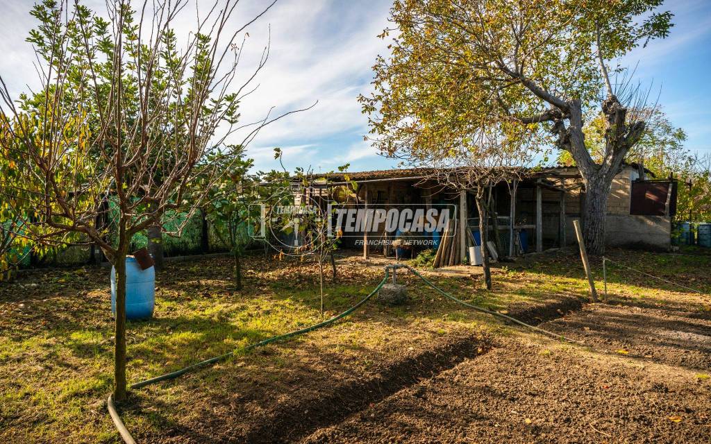 immagine annuncio 9 di 11