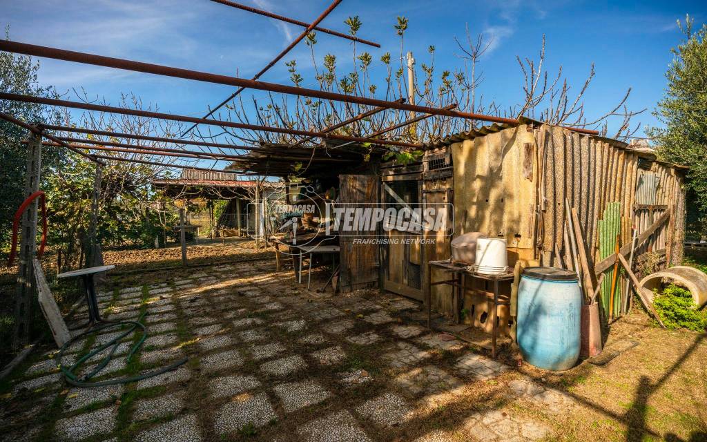 immagine annuncio 10 di 11