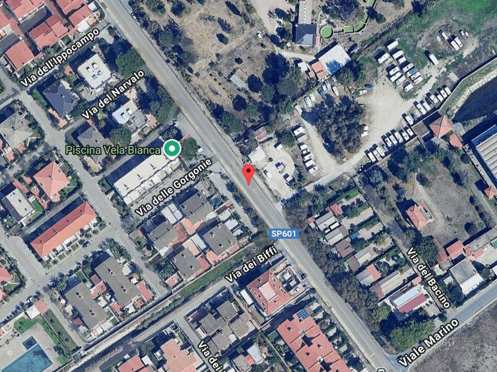 immagine annuncio 1 di 11