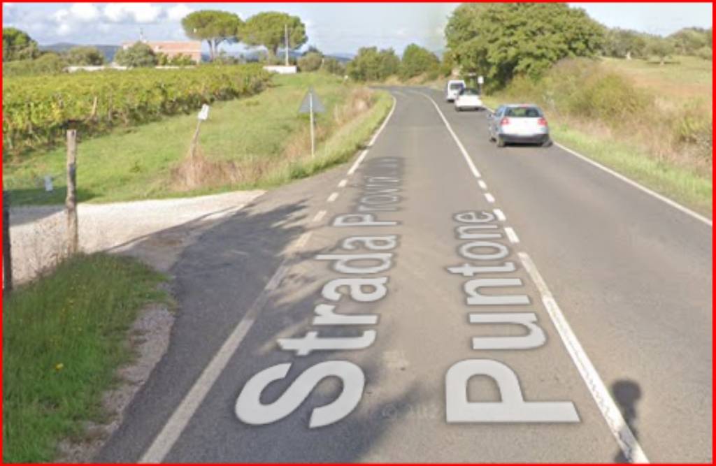 immagine annuncio 1 di 12