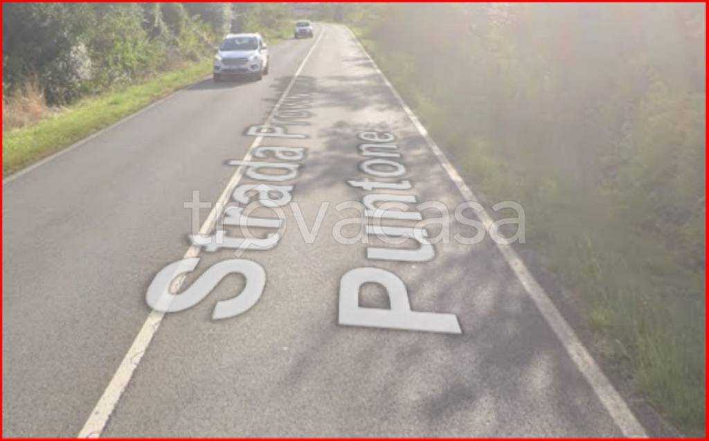 immagine annuncio 3 di 12