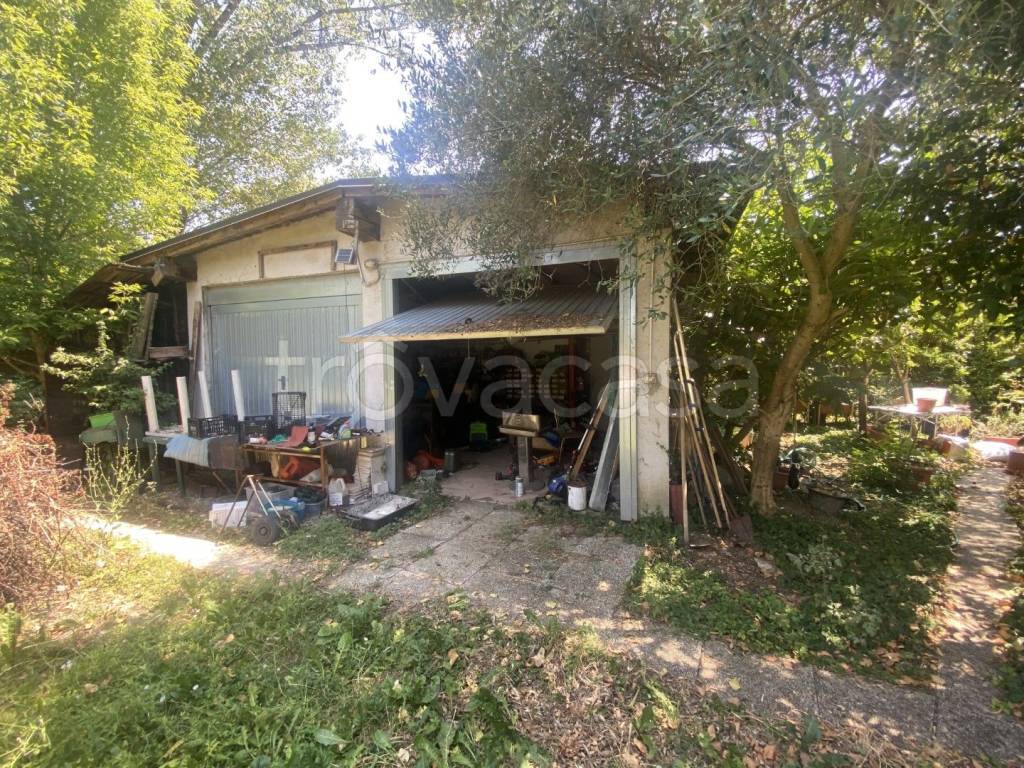 immagine annuncio 5 di 11