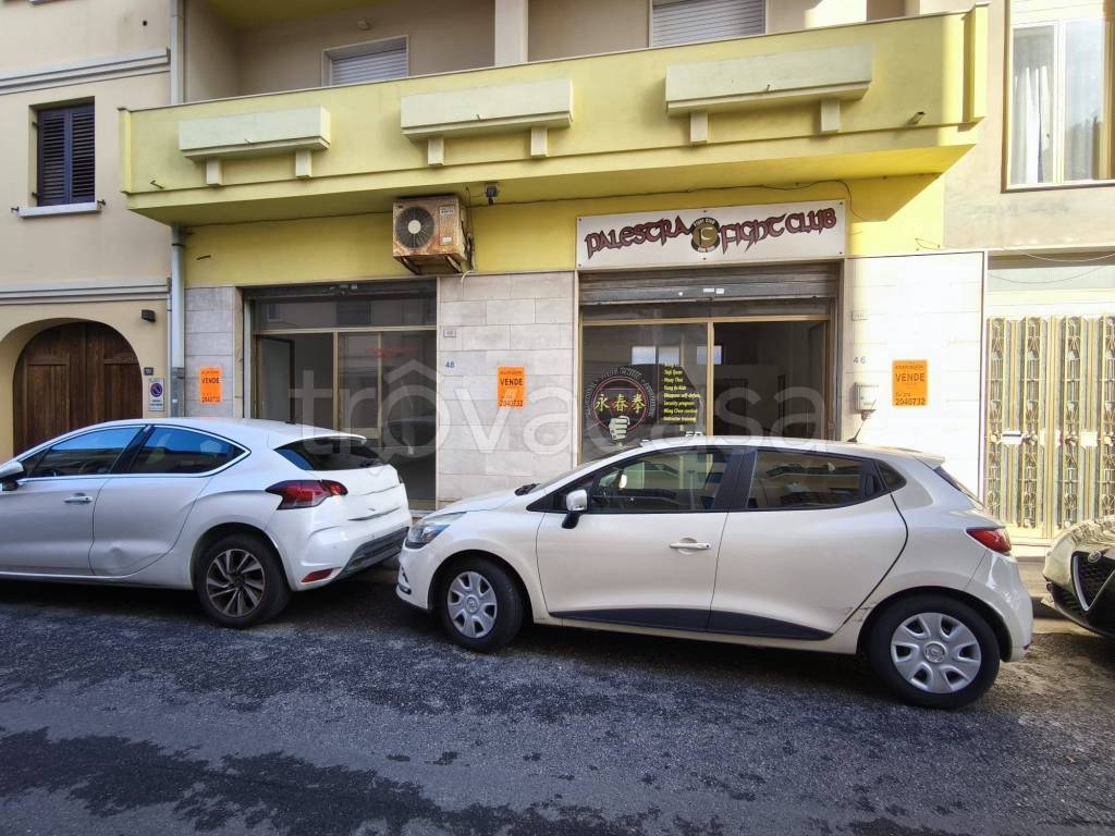 immagine annuncio 2 di 12