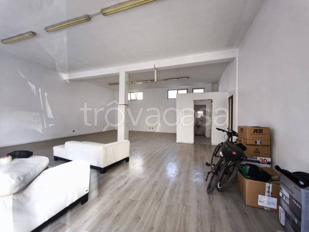 immagine annuncio 6 di 12