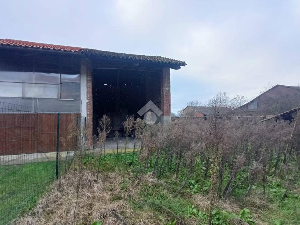 immagine annuncio 3 di 11