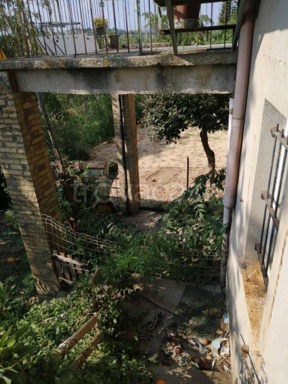 immagine annuncio 5 di 12