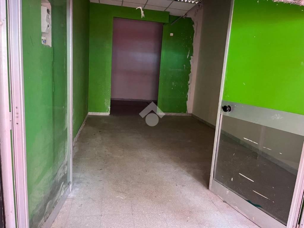 immagine annuncio 7 di 13