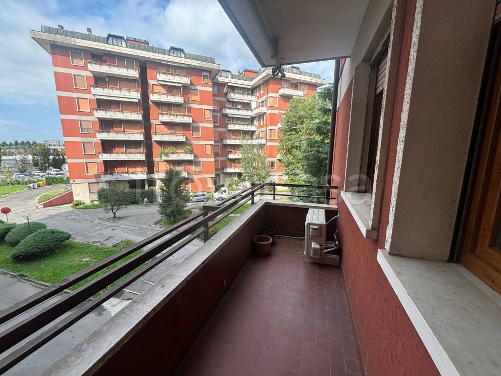 immagine annuncio 4 di 14