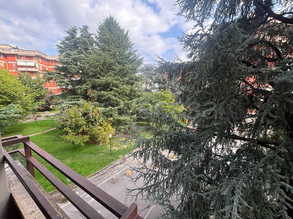 immagine annuncio 11 di 14