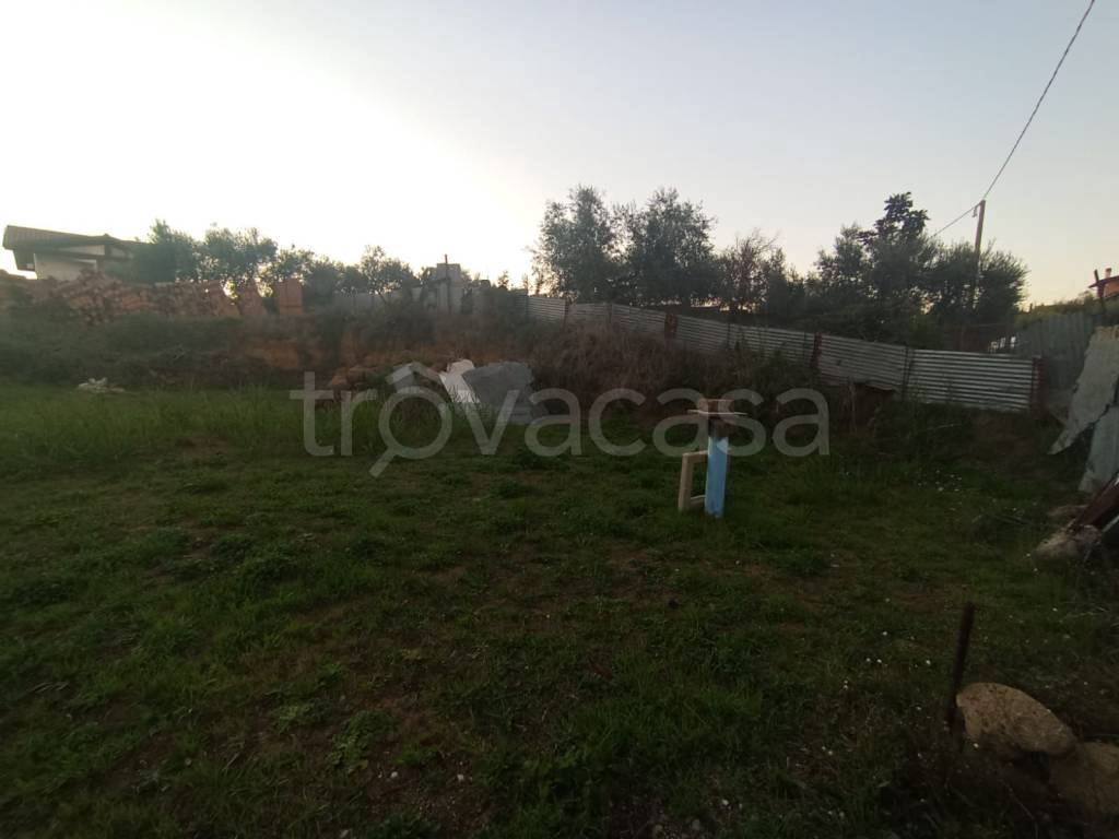 immagine annuncio 3 di 8