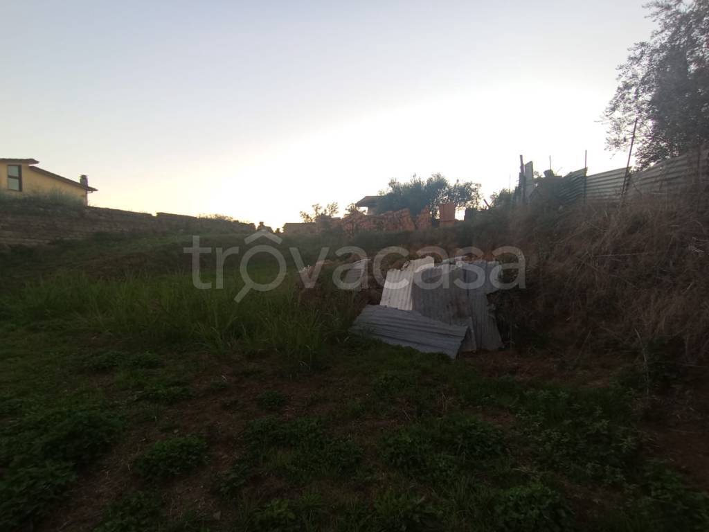 immagine annuncio 4 di 8