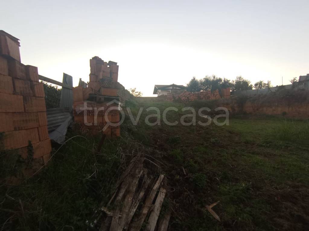 immagine annuncio 5 di 8