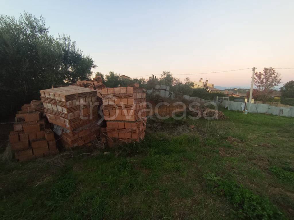 immagine annuncio 6 di 8