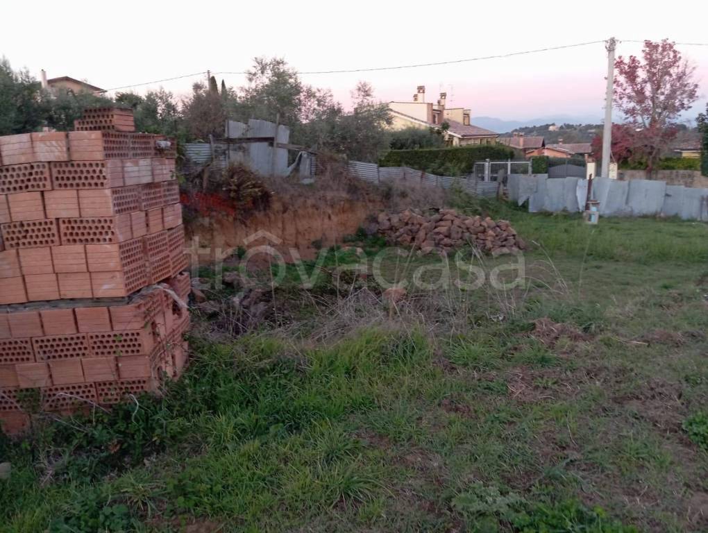 immagine annuncio 7 di 8