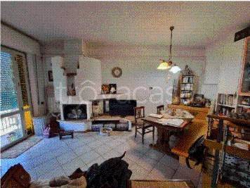 immagine annuncio 7 di 14