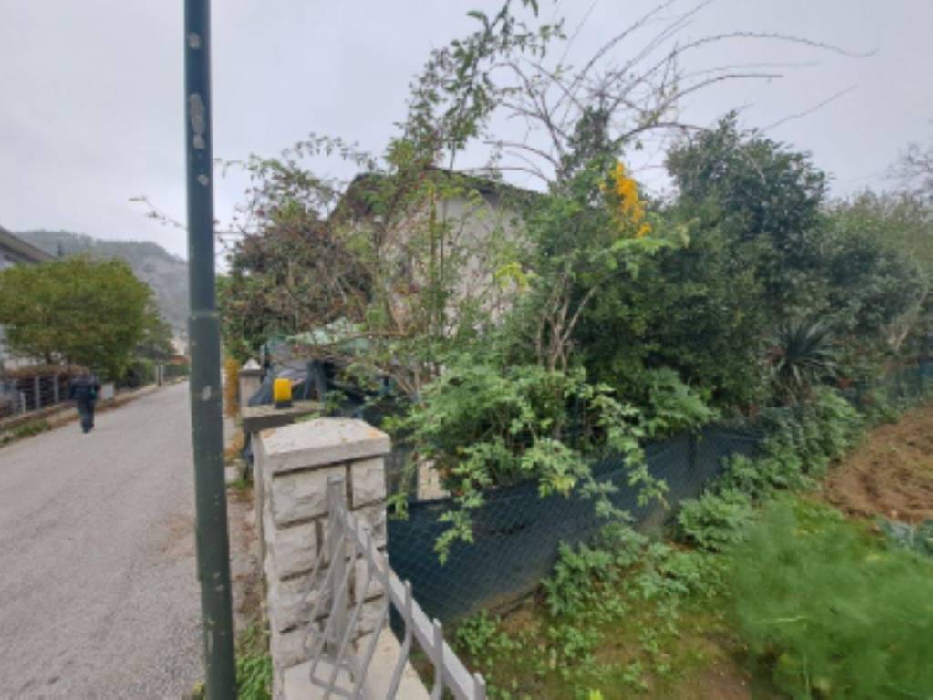 immagine annuncio 5 di 11